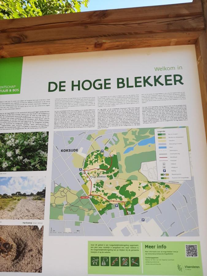 Blekkerke Villa Koksijde Kültér fotó